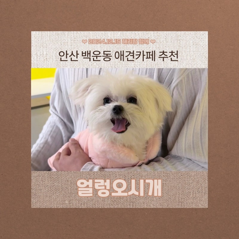 얼렁오시개