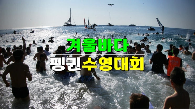 제주여행 이색축제 · 2025 서귀포 겨울바다 국제펭귄수영대회 (사전신청 중문색달해수욕장) 제주여행 이색축제 · 2025 서귀포 겨울바다 국제펭귄수영대회 (사전신청 중문색달해수욕장)