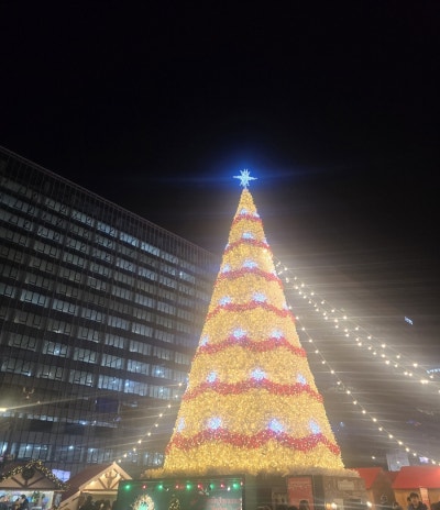 사진 6