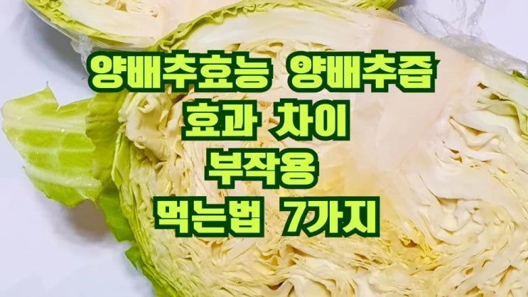  양배추효능 양배추즙 효과 차이 부작용 먹는법 7가지