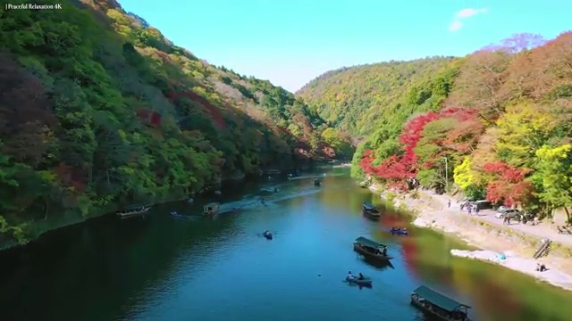  병원 코디네이터 자격증시험 , 병원코디네이터 자격증 취득한 과정 정보 가득