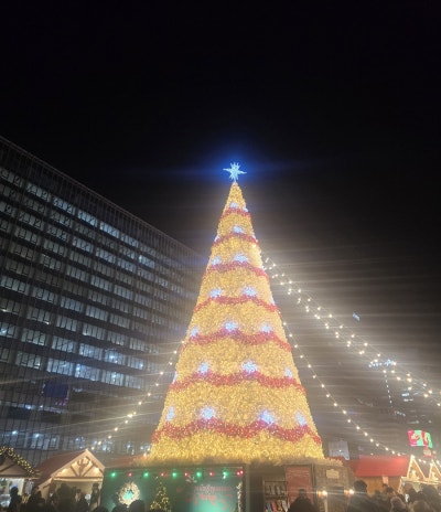 사진 7