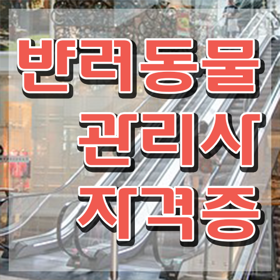 반려동물관리사 취업 , 반려동물관리사 자격증 독학으로 취득한 방법 여기만 보세요
