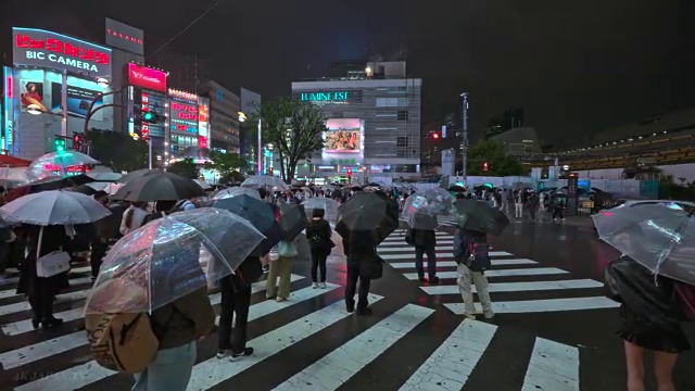  꽃꽂이 자격증 , 플로리스트 자격증 취득한 노하우 요점정리