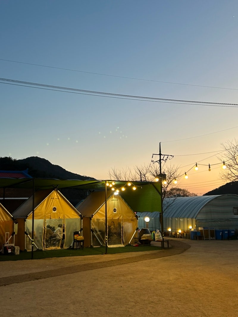 사진 5