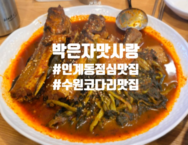  수원 인계동 점심 코다리 맛집 박은자맛사랑 인계점