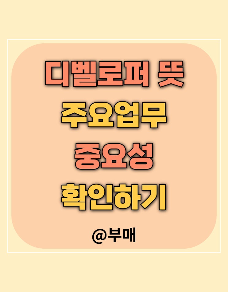  디벨로퍼 뜻과 주요 업무