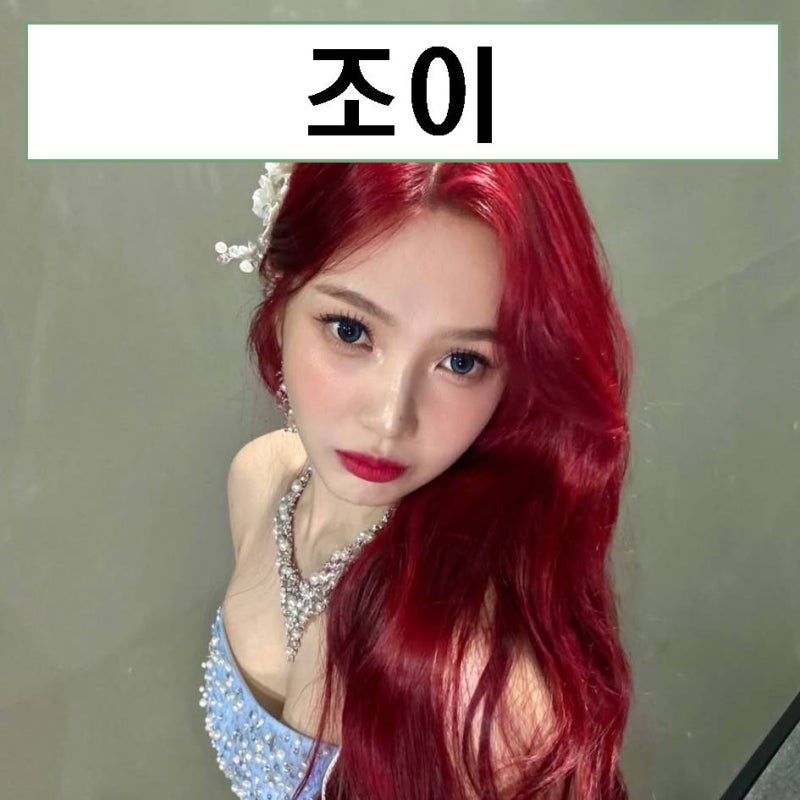 레드벨벳 조이 프로필 나이 키 남자친구 크러쉬 성형 mbti 본명