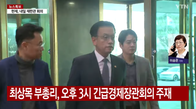  최상목 경제정책 연내 발표