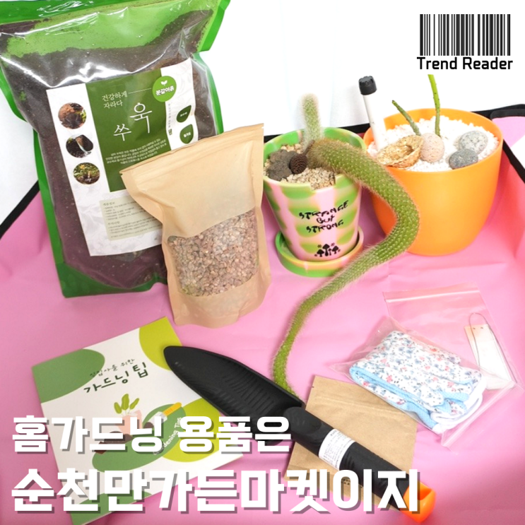  올인원 가드닝용품으로 화분갈이 쉽게 성공