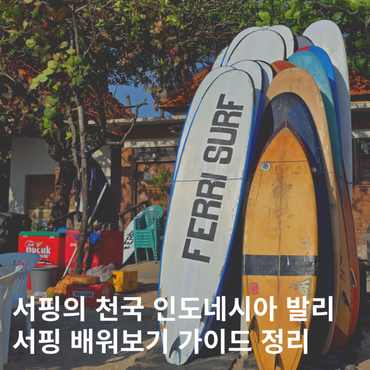  발리 서핑 배우기 꾸따비치 초보 강습 가격 예약 준비물 가이드