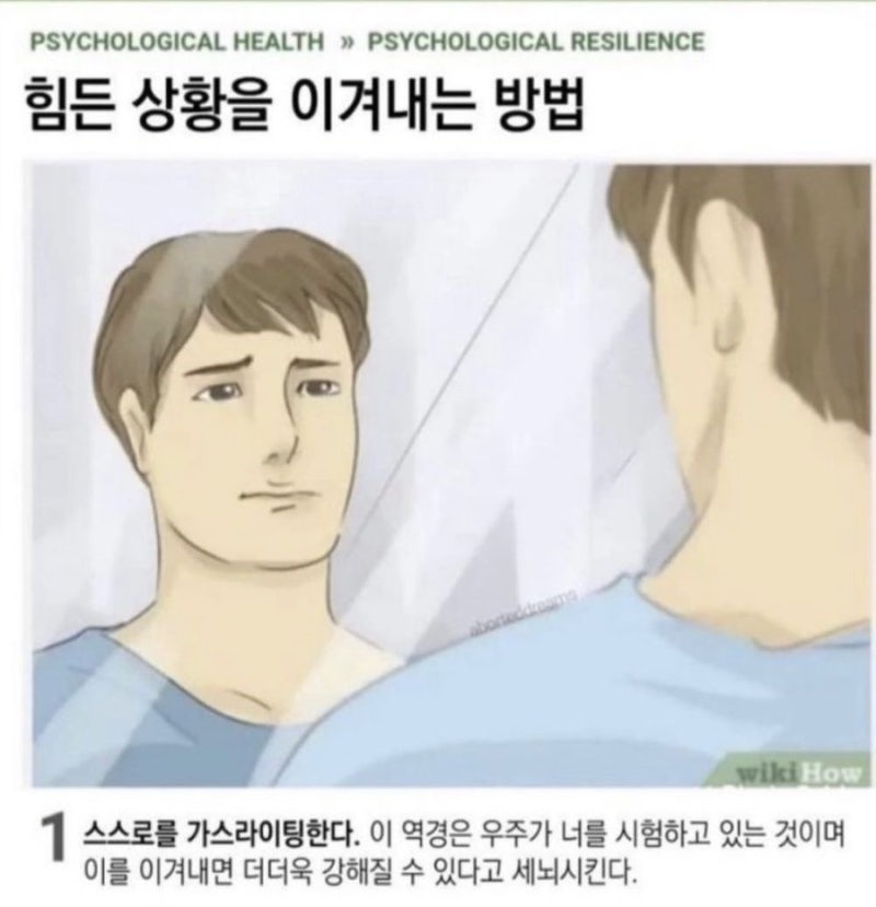 웃긴 짤 모음 (개웃긴 카톡,병맛,명언,동물,캐릭터,위키하우 짤) : 네이버 블로그