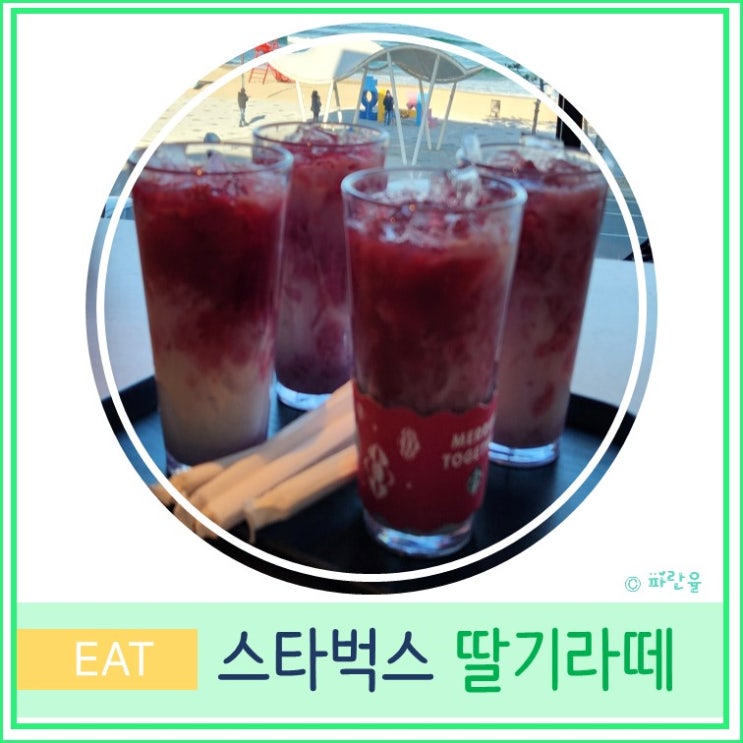  대구근교 포항 가볼만 한 곳 스타벅스 화진해수욕장점 겨울시즌 메뉴 딸기라떼 솔직후기