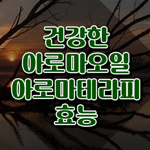  아로마뷰티diy지도사 클래스 , 아로마뷰티DIY지도사 자격증 온라인으로 간단히 준비한 과정 및 채용 정보