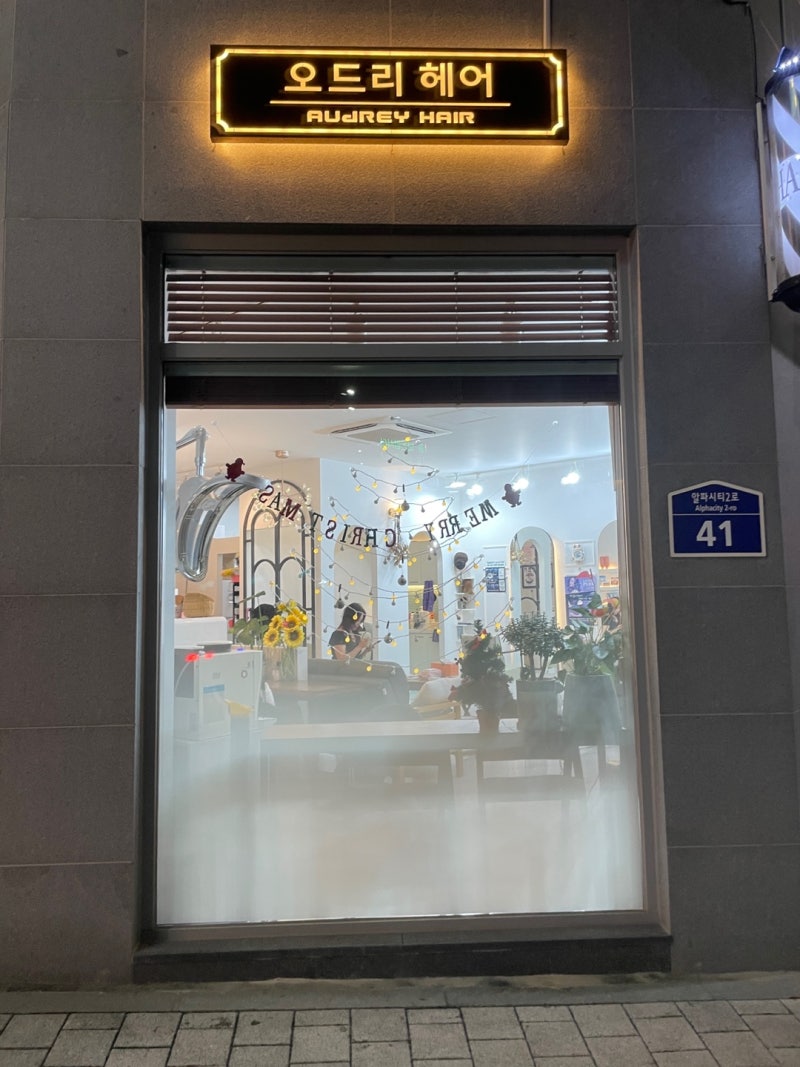 오드리헤어, 대구 시지 알파시티 애견동반 미용실