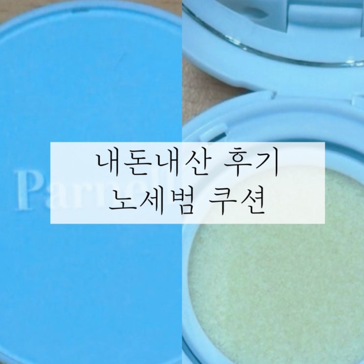 내돈내산 Parnell 파넬 노세범 쿠션 | 한달 후기
