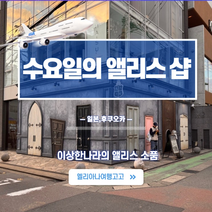  후쿠오카여행 수요일의 앨리스 소품샵 위치 영업시간 텐진 다이묘 볼거리 소개