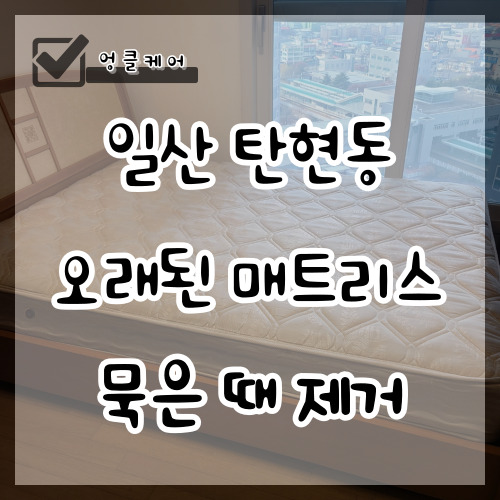  매트리스 세척 오래된 매트리스 묵은 때 제거 일산 탄현