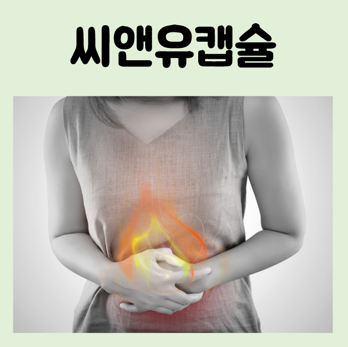 씨앤유캡슐 효능 부작용 이담제 주의사항