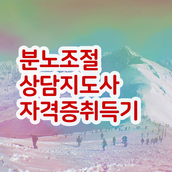  취업 자격증 추천 , 분노조절상담지도사 온라인 과정 100%로 편하게 끝냈던 과정