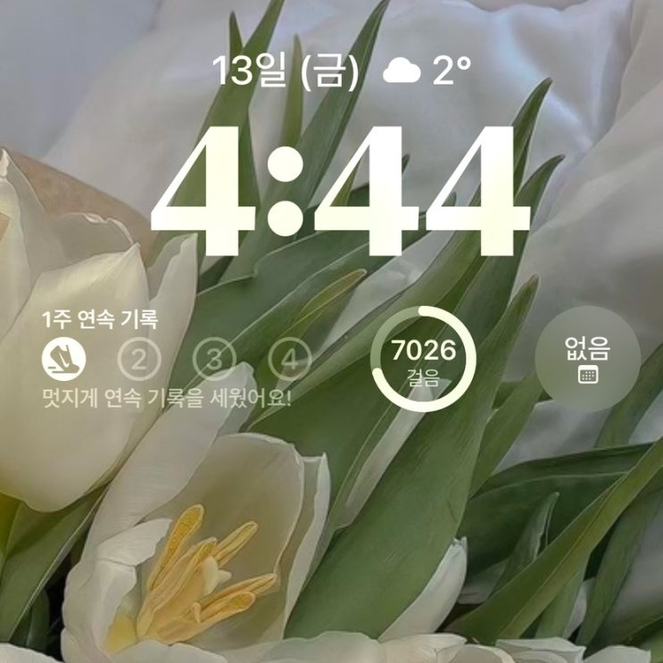 12월 둘째 주 일상 포토덤프.