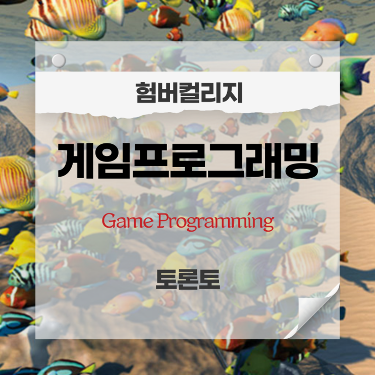  험버컬리지-게임프로그래밍