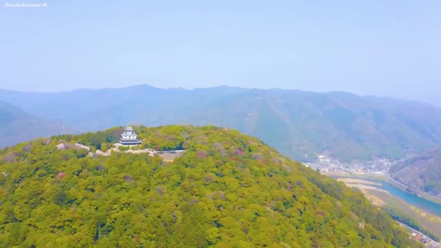  , mbti 학습진로상담지도사 취득한 노하우 , 향후 전망