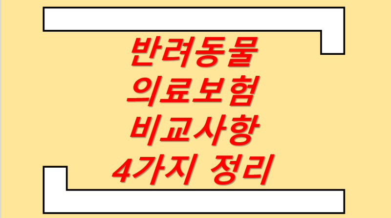 반려 애완 동물 의료 보험 비교 사항 총정리