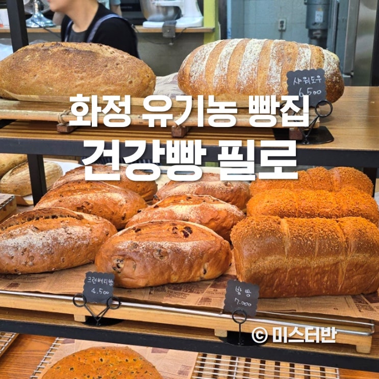  화정 빵집 유기농 필로 건강빵