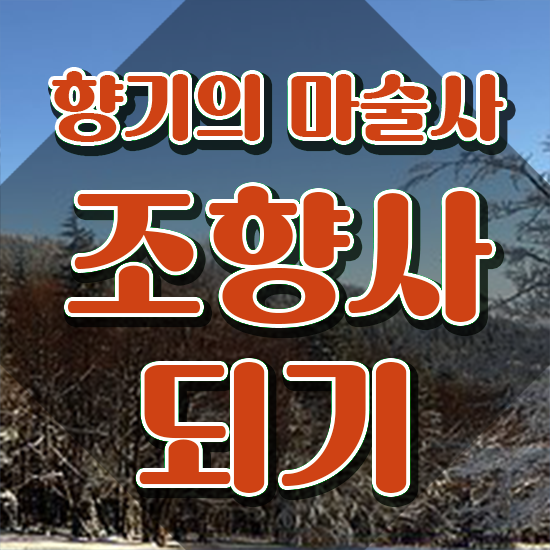  , 비전공자도 조향사 성공할 수 있어요
