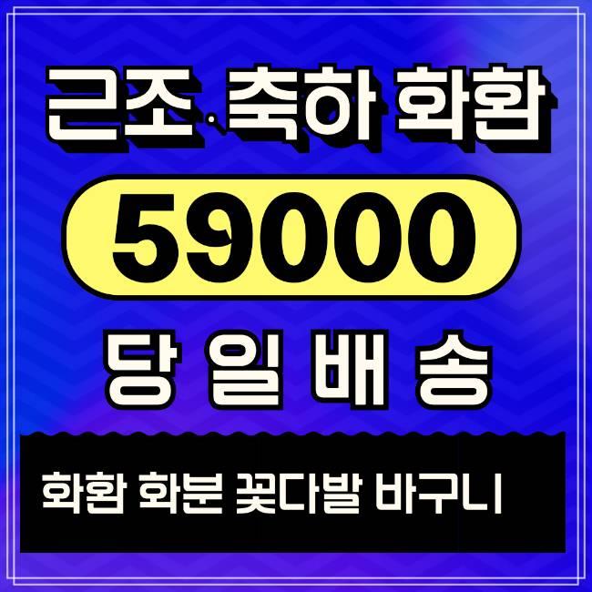  개원화환 당일 배송 저렴한 가격 리본문구 안내드려요