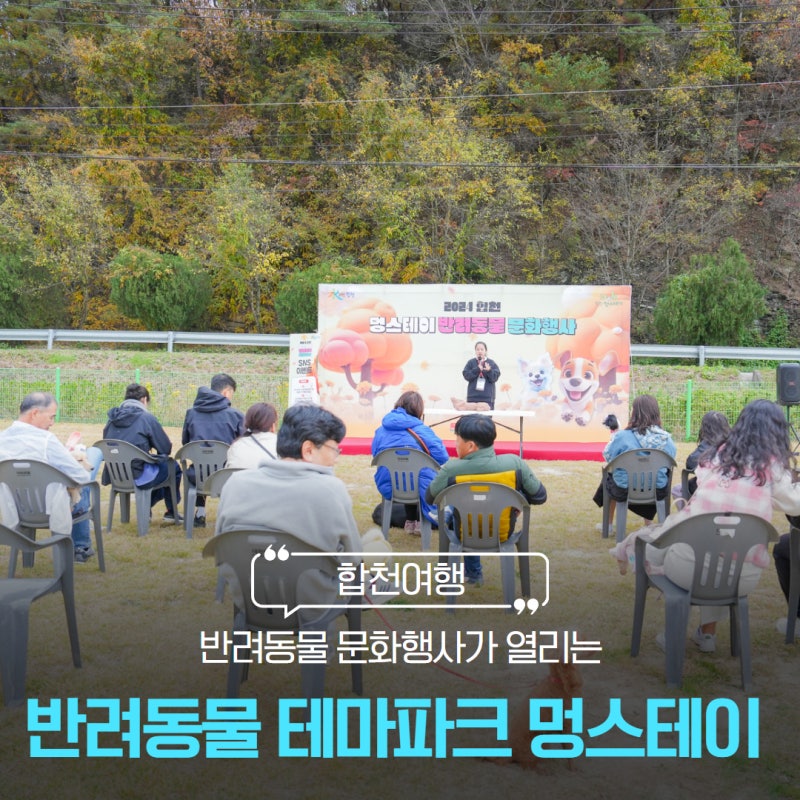 사진 7
