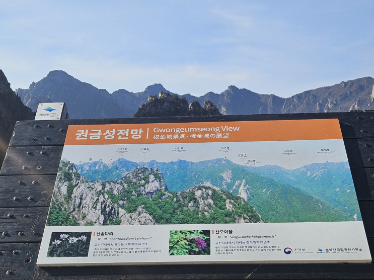  겨울 강원도 여행 설악산 권금성 케이블카 타고 고고=3