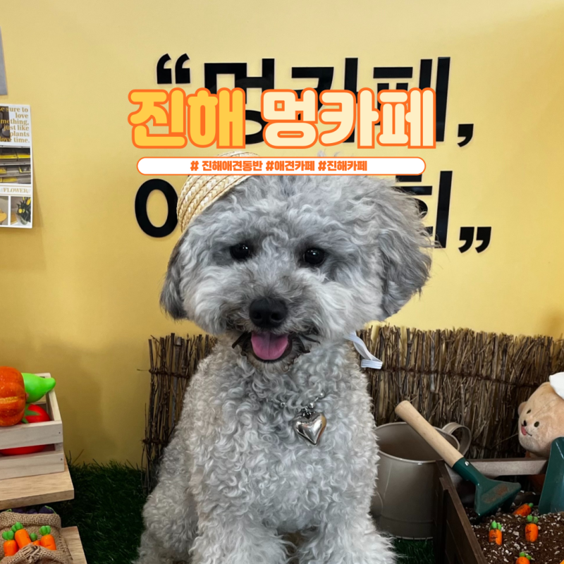 사진 3