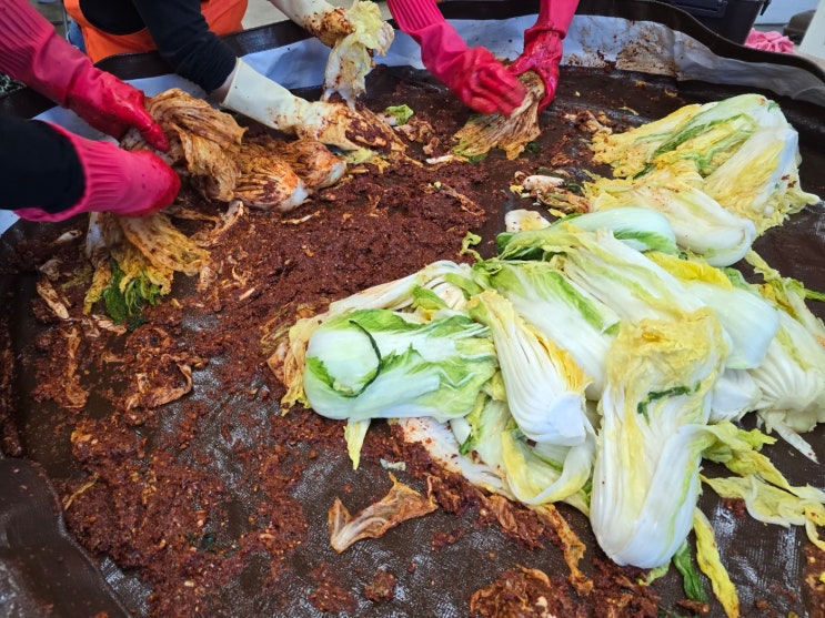  대구 달서구 노인주간보호센터 삼성튼튼에서 맛있는 김치와 보쌈