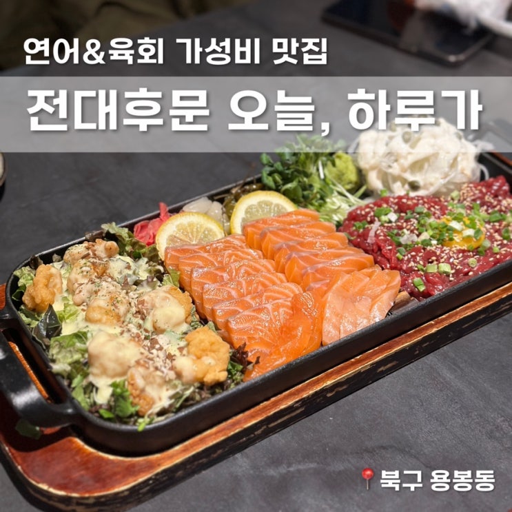  연어&육회 가성비 맛집 전대후문 밥집 겸 술집 오늘 하루가
