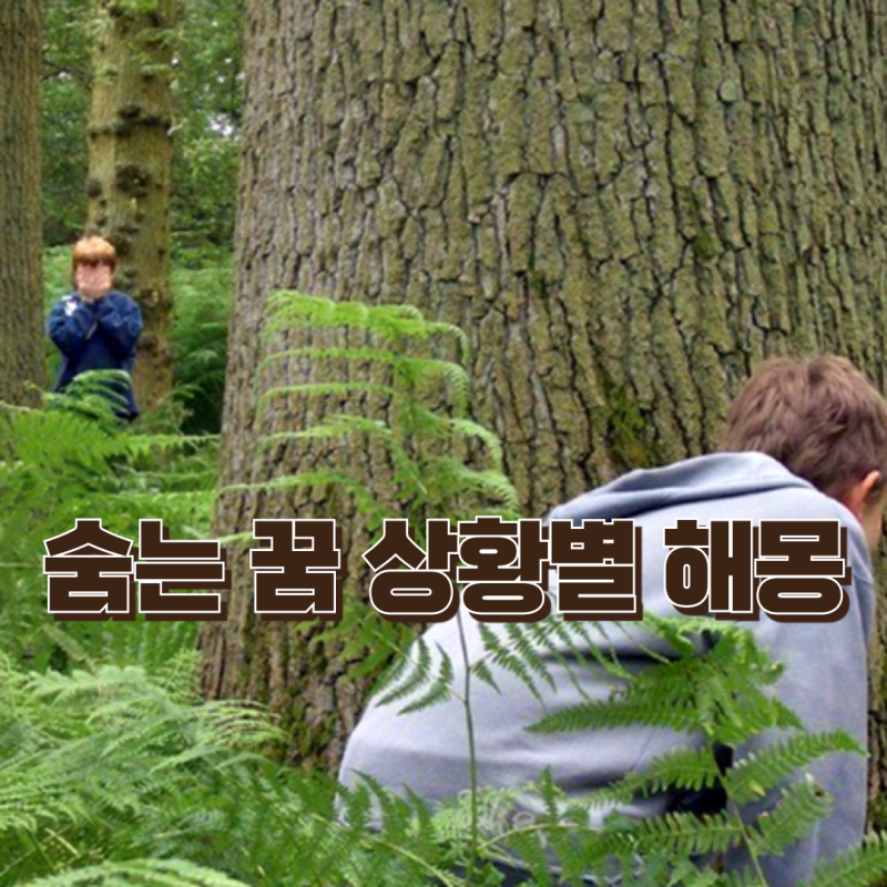숨는 꿈 상황별 해몽 20가지
