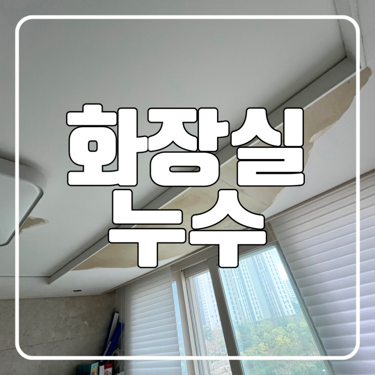  수원 화장실 누수 영통 당암마을 아파트 부분 방수공사