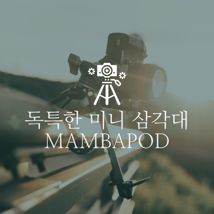  어디에든 거치 가능한 독특한 미니삼각대 MAMBAPOD 구매