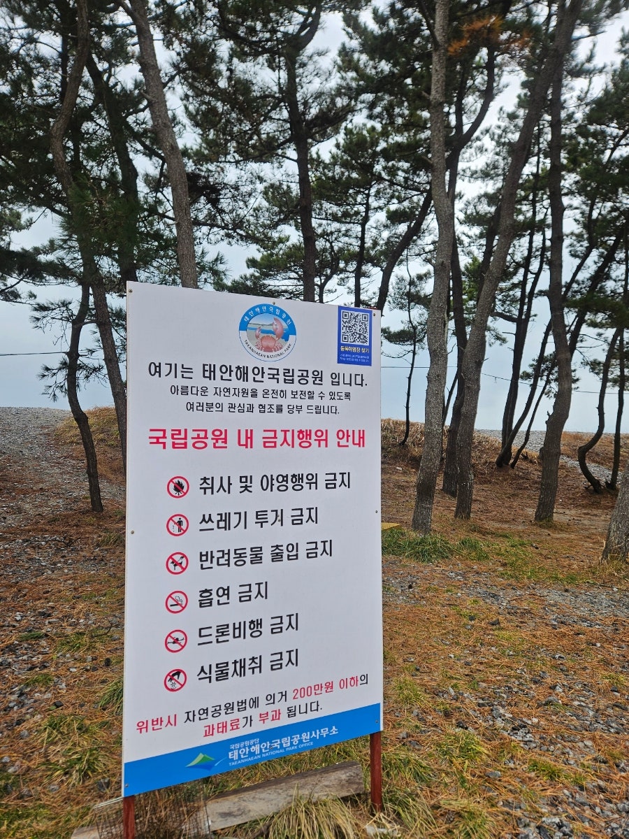양평해장국 태안점 사진 1