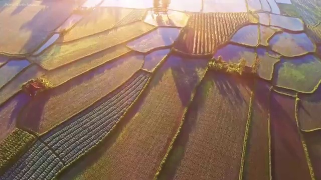  부동산경매컨설팅 , 부동산권리분석사자격증 합격 비법 , 학습과정