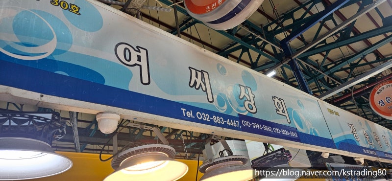 사진 4