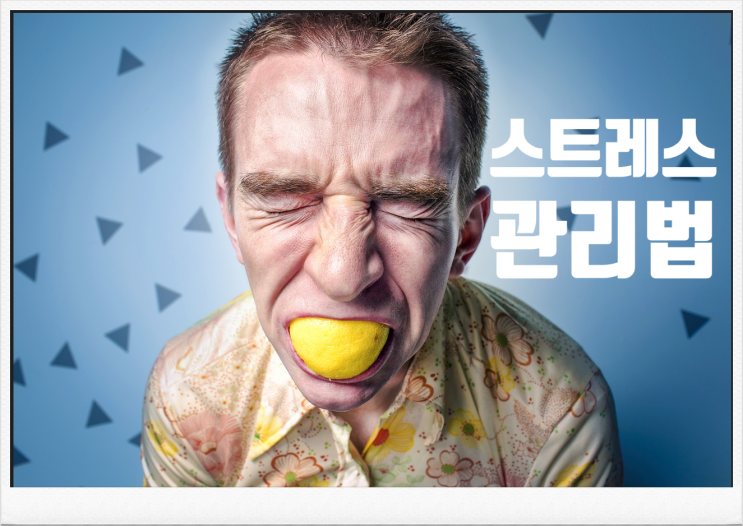 스트레스 해소법 (스트레스를  없애려면 "노잼활동"을 해야 합니다)