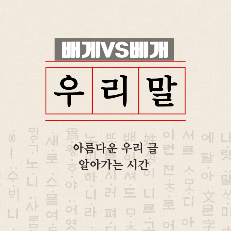 배게, 베개 정확히 알고 사용하기