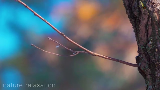  후쿠오카 가족여행 계획중이라면 ? 여행 전문가 에게 먼저 연락주세요. (무료 서비스)