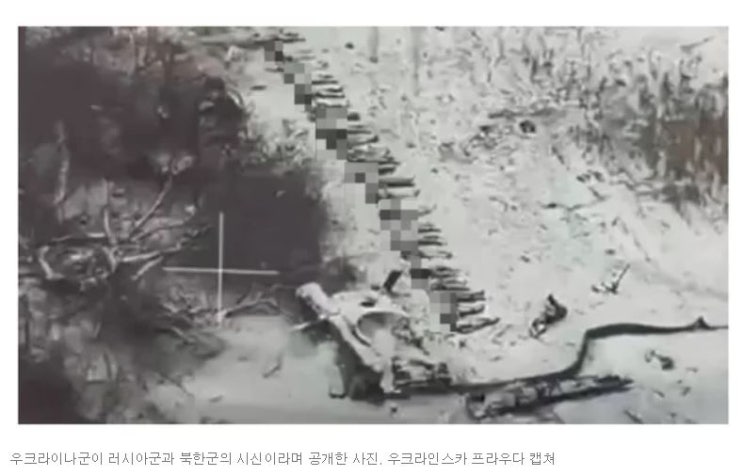 우크라군 "<b>북한군 전사자</b> 수십 구" 주장, 북한군 시신 사진... 