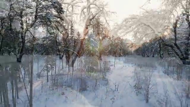  부동산명의신탁 , 부동산자산관리전문가 부동산자산관리사자격증 취득한 방법 , 시험노하우