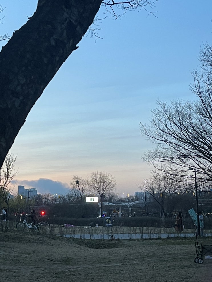  [일상기록] 2024년 3월