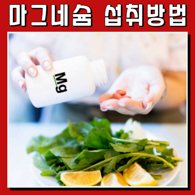 피로와 스트레스를 날리는 마그네슘 올바른 섭취법