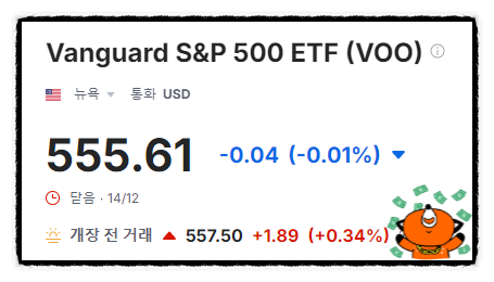  TIGER 미국 S&P500 직접 투자 VOO ETF 비교해보면